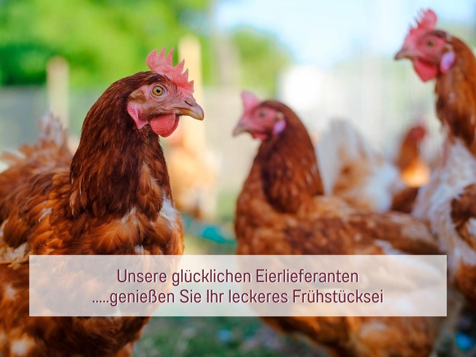 Designerwohnungen "Beim Schmied" In Chiemseenaehe Traunreut Exterior foto