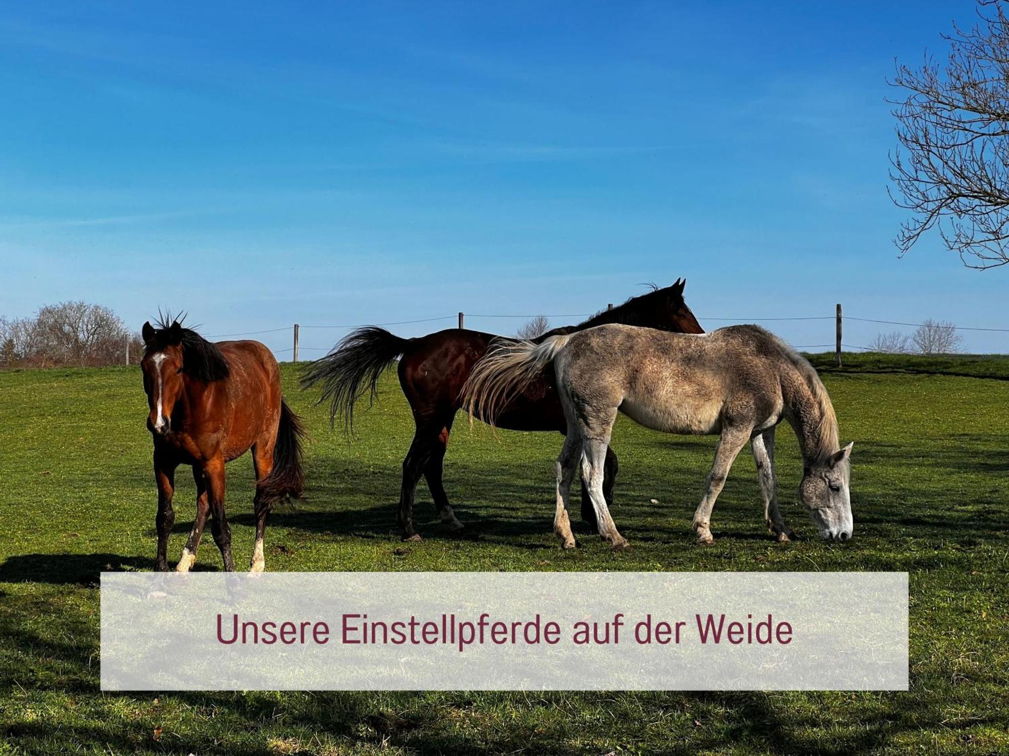 Designerwohnungen "Beim Schmied" In Chiemseenaehe Traunreut Exterior foto